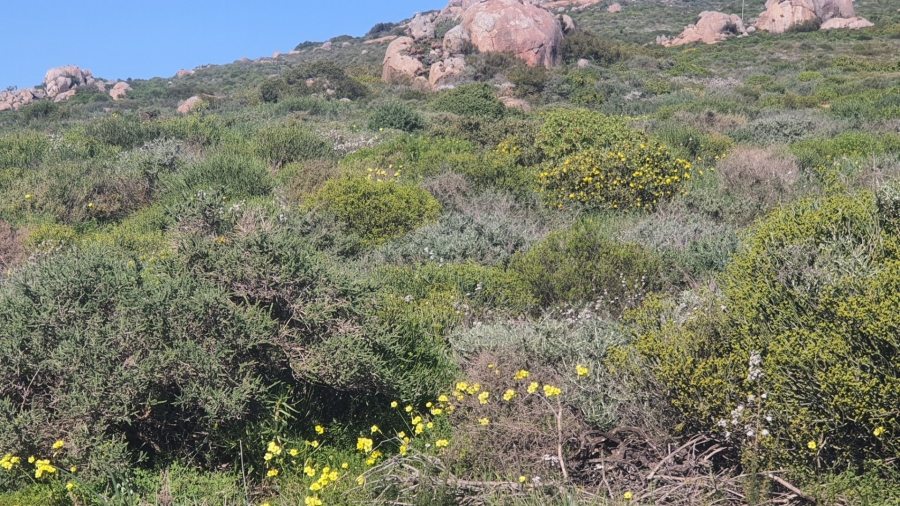  Bedroom Property for Sale in St Helena Views Western Cape